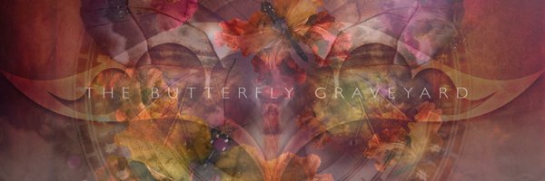 The Butterfly Graveyard Profile Banner