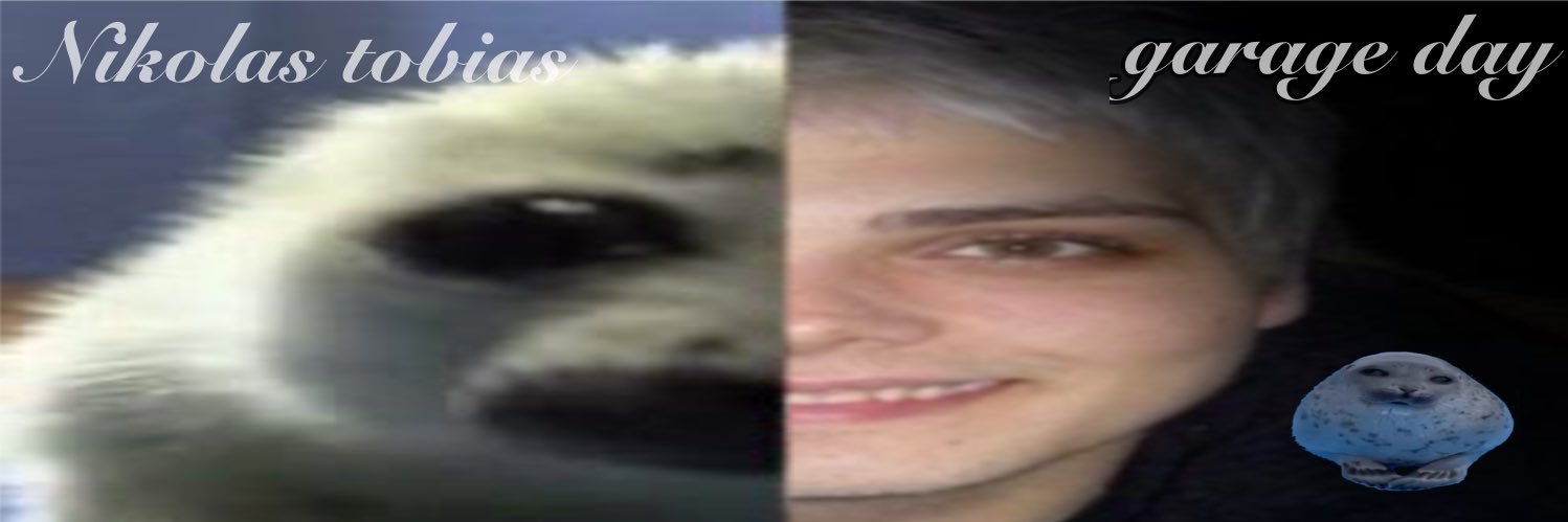 Mira's banner