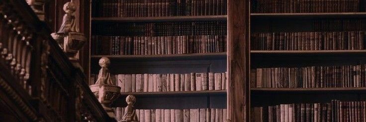 ~котёнок снова взорвался~|полурест banner
