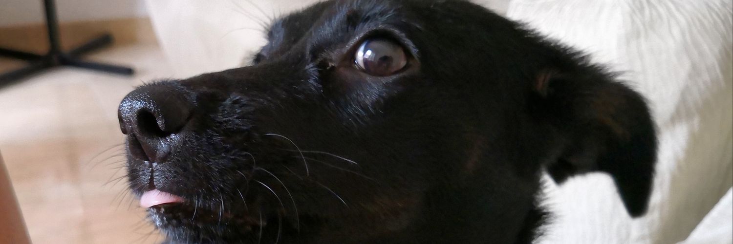 ariiigh25's profile banner image