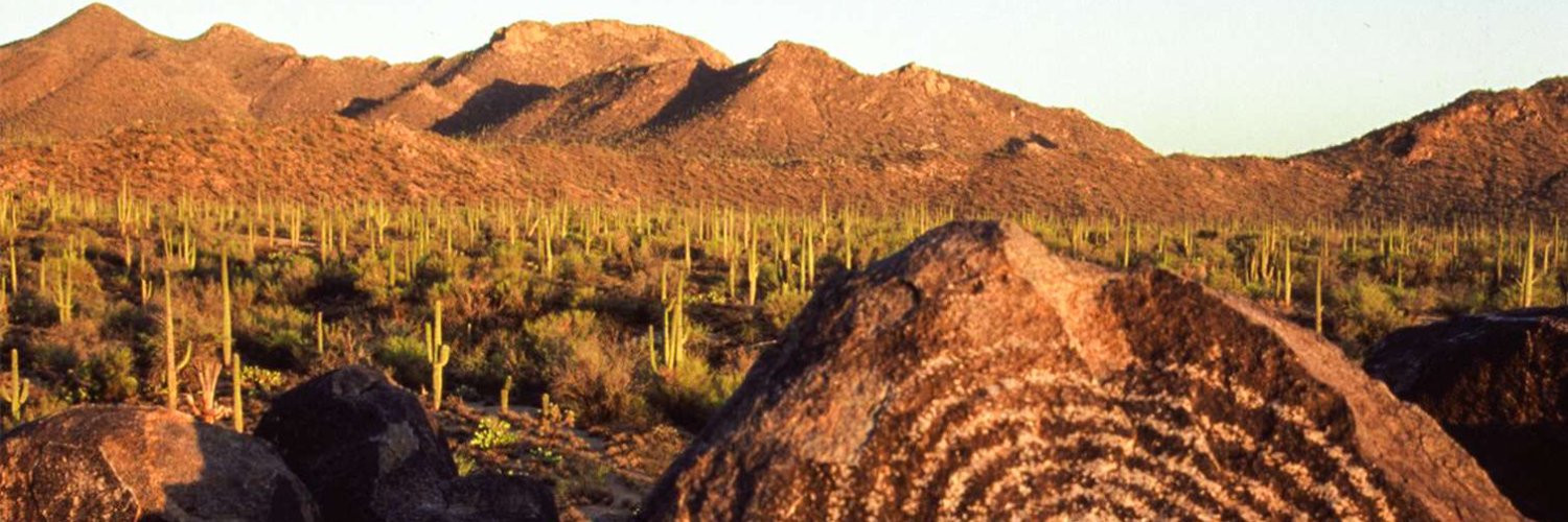haystack777's profile banner image