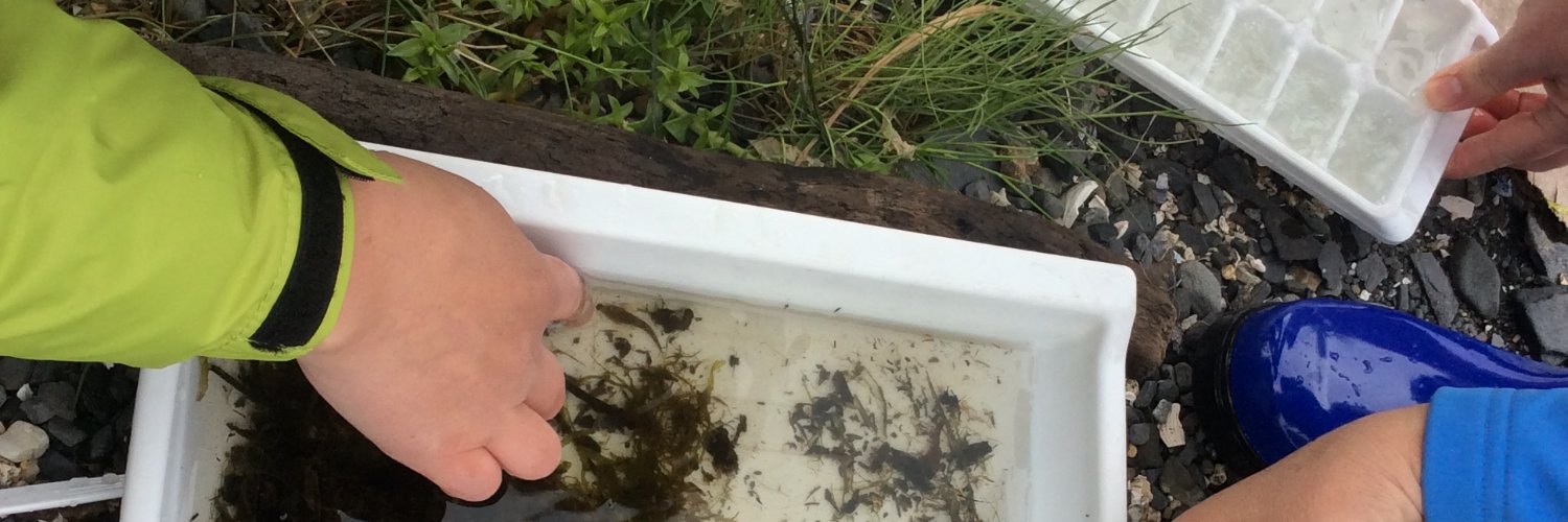 Heather Baker banner