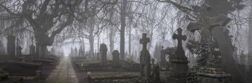 bone_splinter's profile banner image