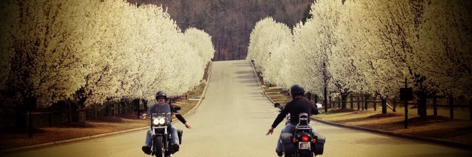 TMad35242's profile banner image