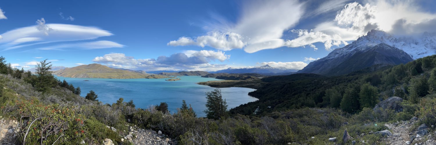 Alvaro Reyes 🌳 banner