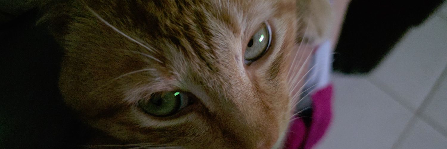 MathNask's profile banner image