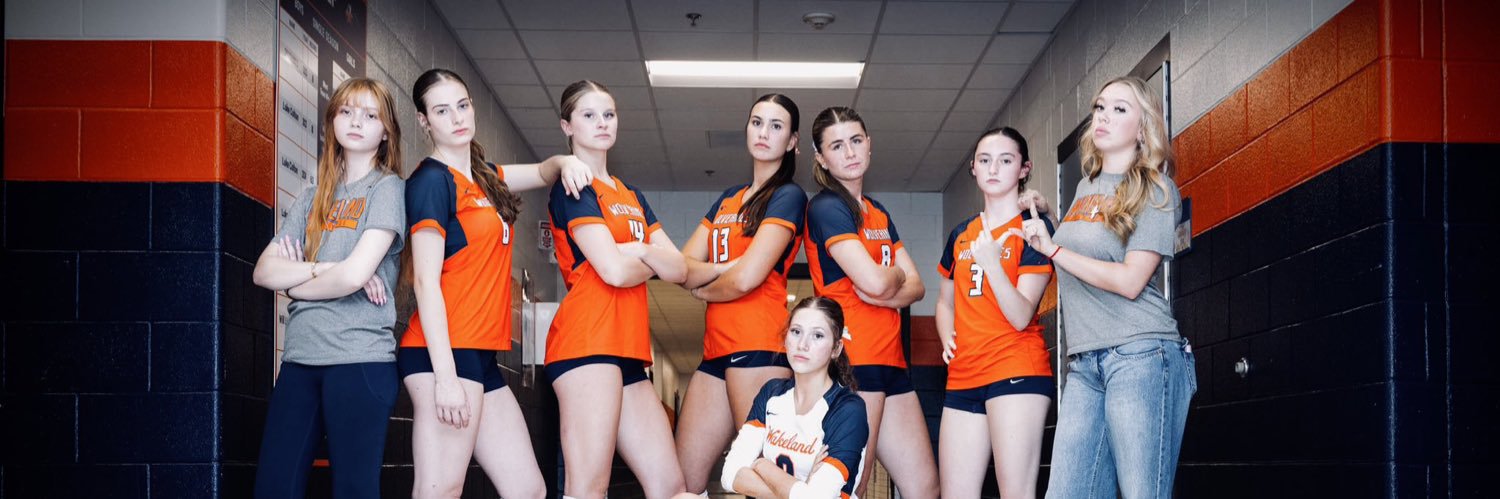 Wakeland Volleyball banner