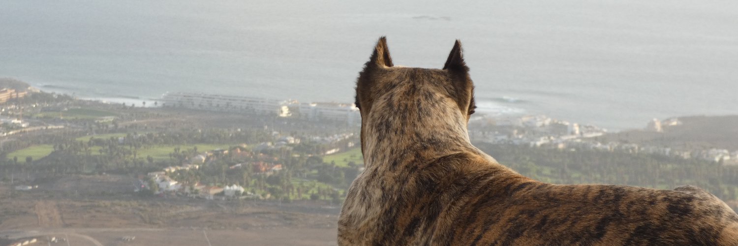 yaizatarife's profile banner image