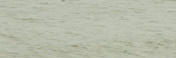 Avinash25198275 Profile Banner