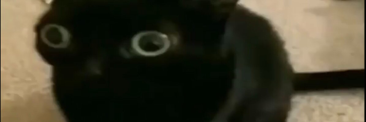 Mq_ banner