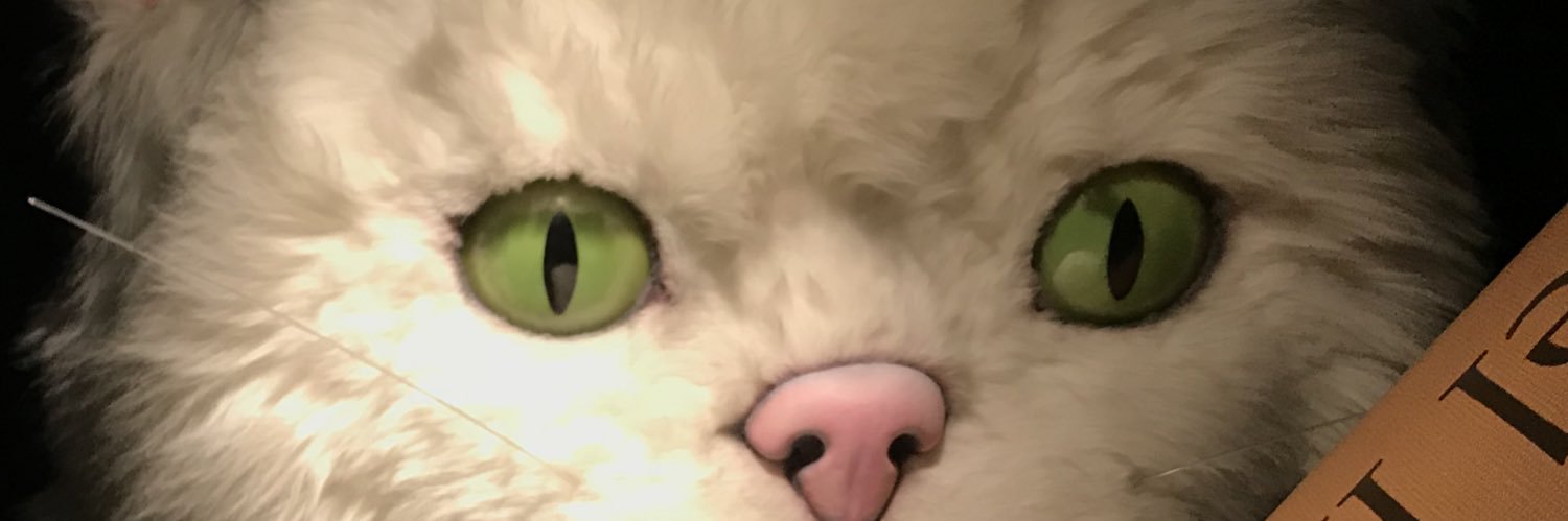 m7o7k7a's profile banner image