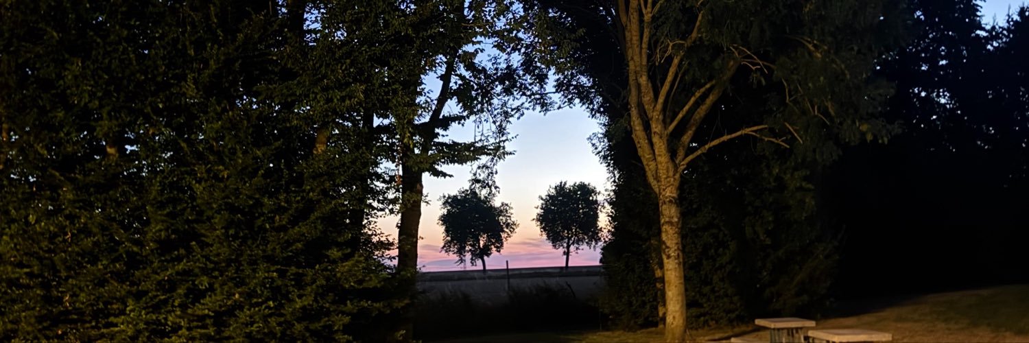 paulinebhh's profile banner image