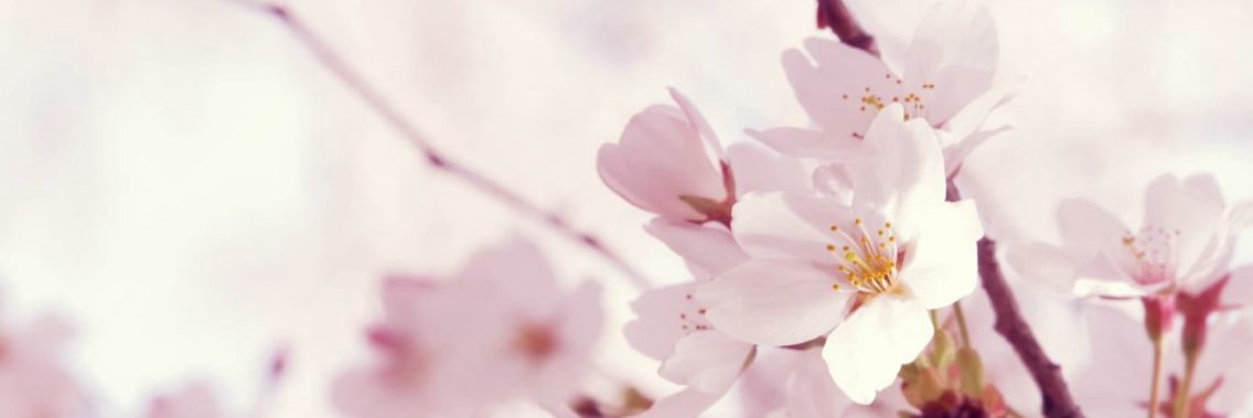 JoRawsthorne's profile banner image