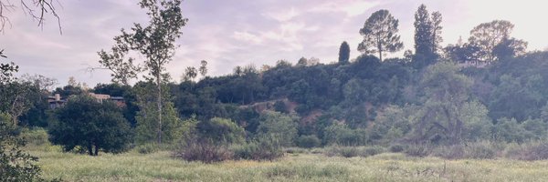 lisasy Profile Banner