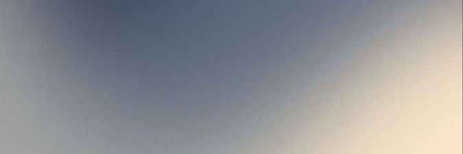 ally banner