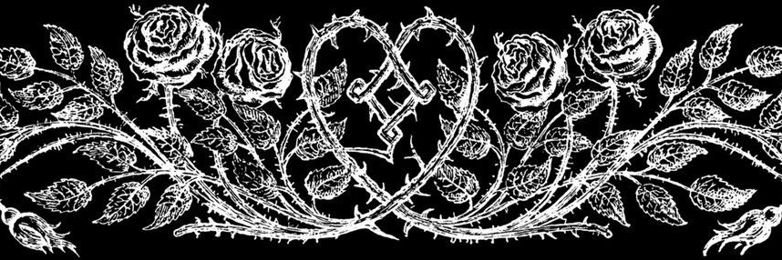 notjaexio's profile banner image