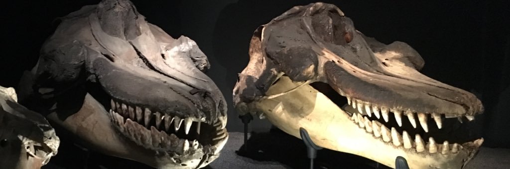 United Learning Science banner