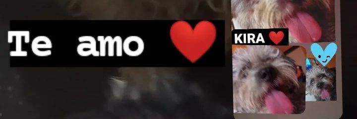 Franchii_Carp's profile banner image