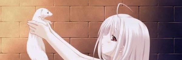 sleepyfriedrice's profile banner image