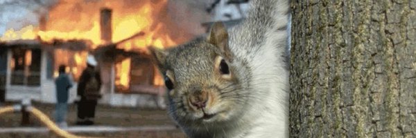 squirrelfps Profile Banner