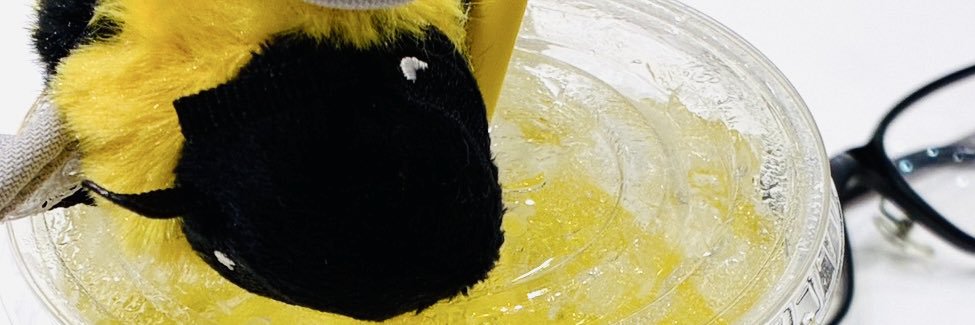 🐝スーパーはるる（筆名＝立田渓）🦒 banner