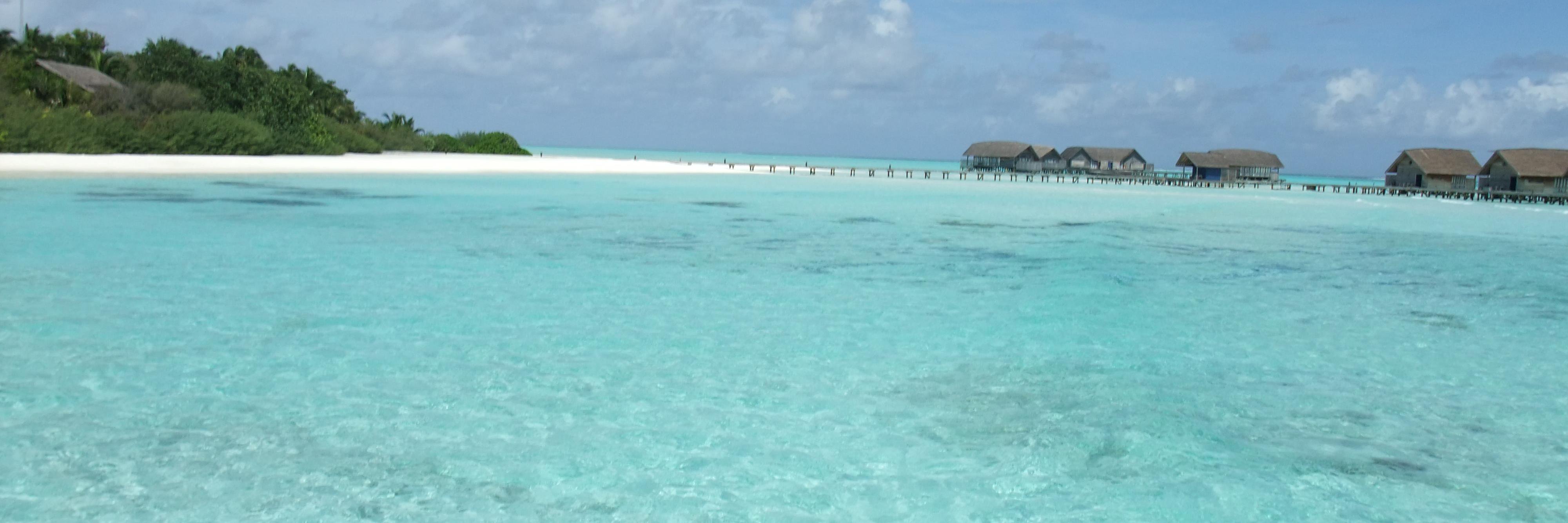 inco-いんこ banner