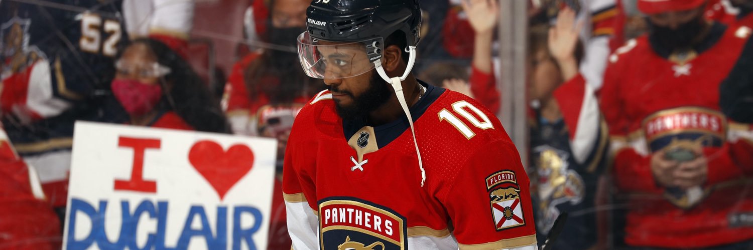 Anthony Duclair  banner