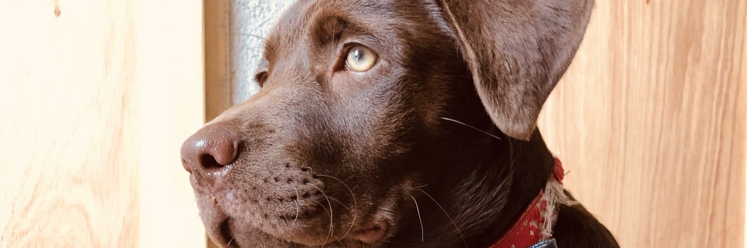 sofernandeezt's profile banner image