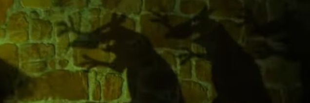 rat_seer's profile banner image