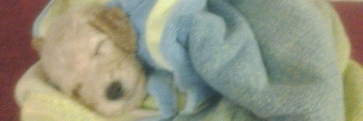ximmkg's profile banner image