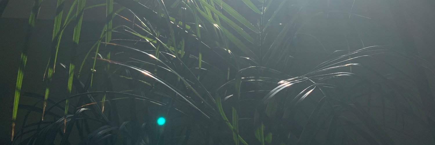 AnimatesBince's profile banner image