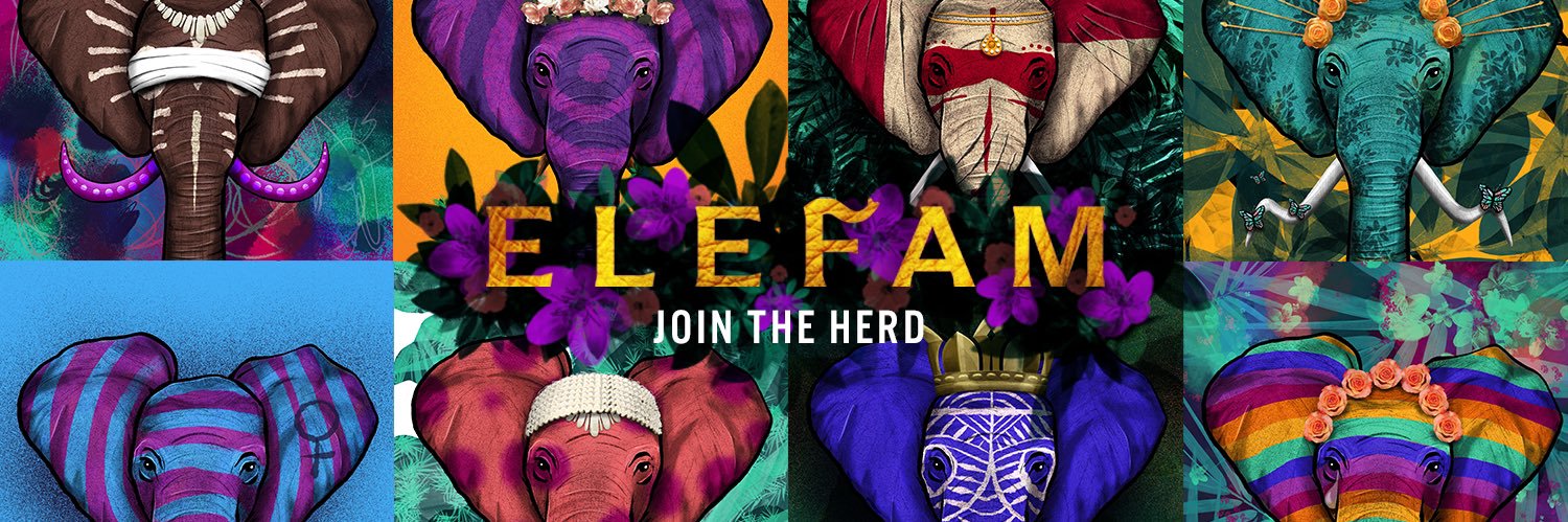 EleFamNFT's profile banner image