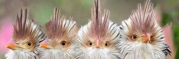 Clefdesol15 Profile Banner