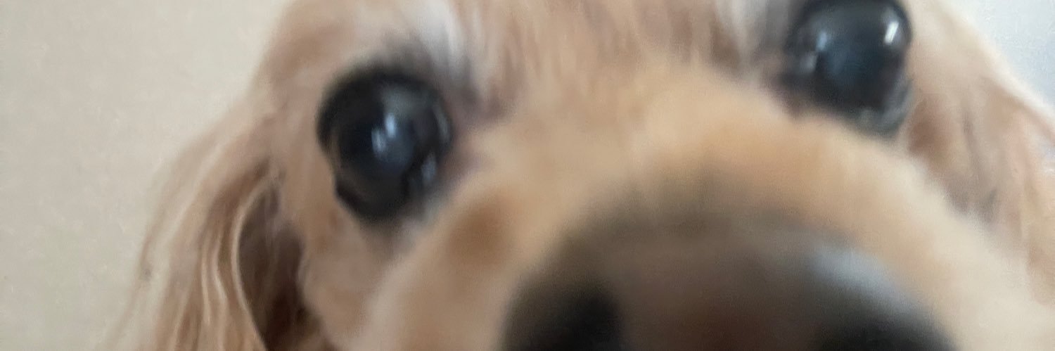 ゆうな banner