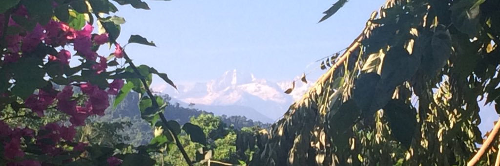 Ricardo Cubides banner