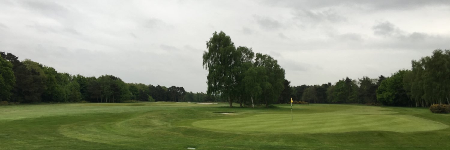 Matt Robinson banner