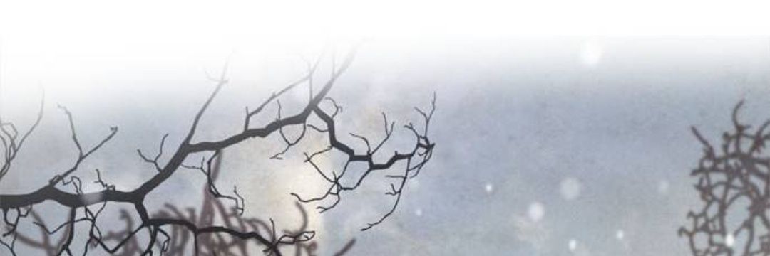🌊 banner