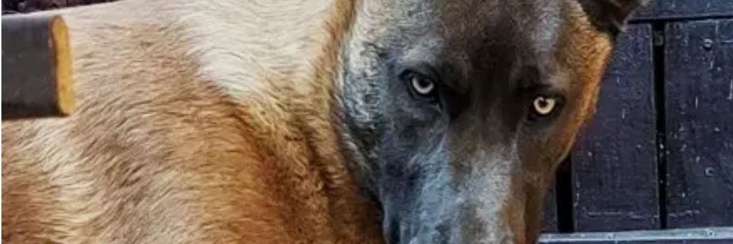 MatejTBO's profile banner image
