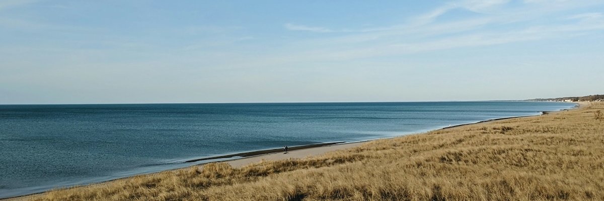 tskaggs's profile banner image
