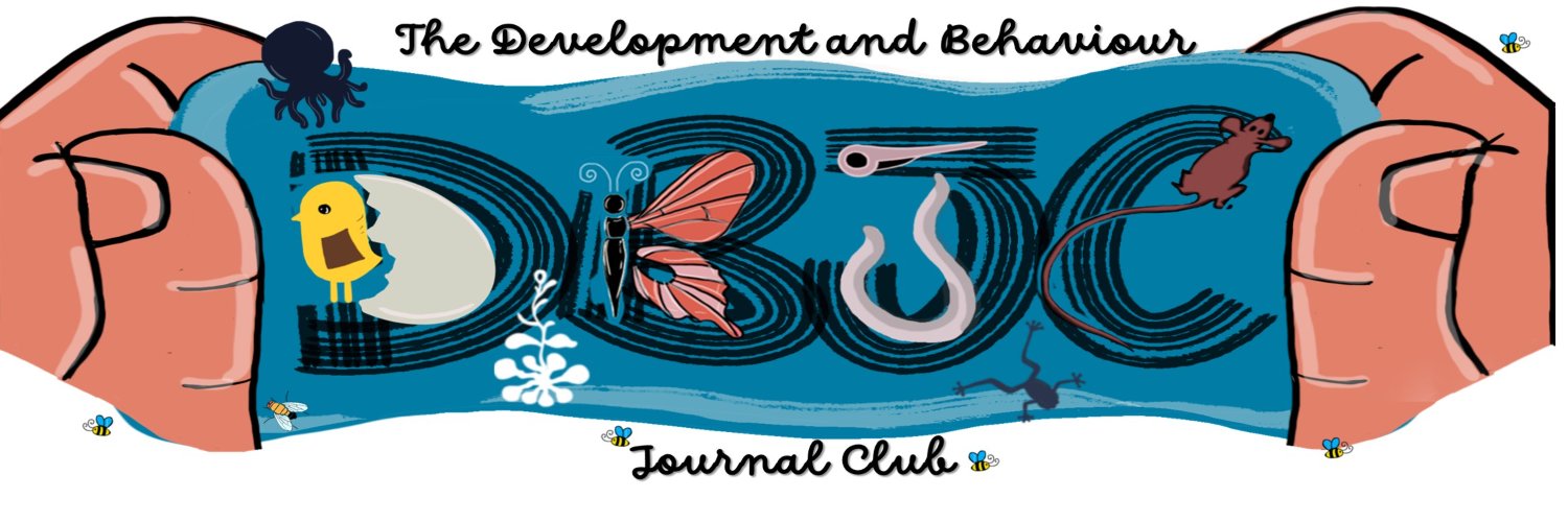 dbjc_bdbc's banner