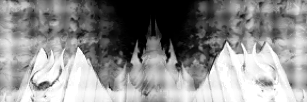 tensorqt Profile Banner