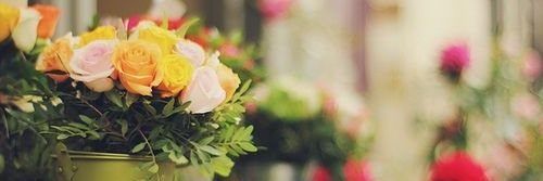 تُمَاضِرُ banner
