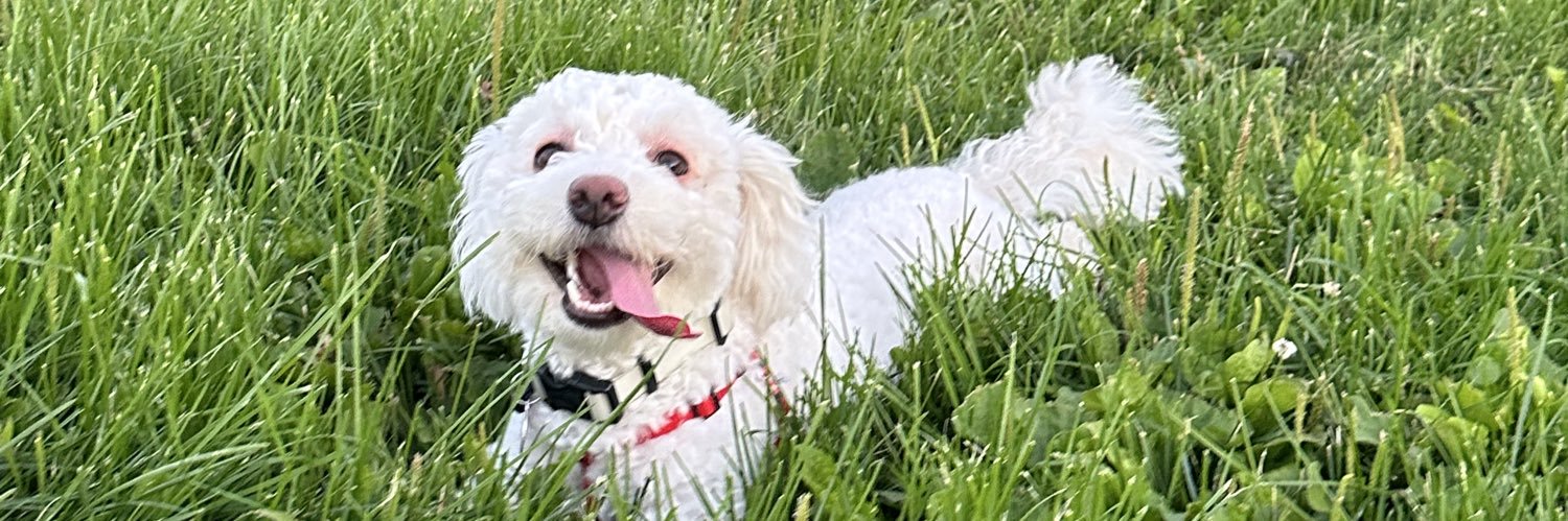 ynnvree's profile banner image