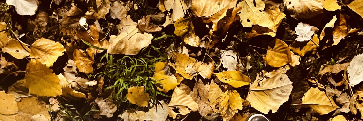 imerixs's profile banner image