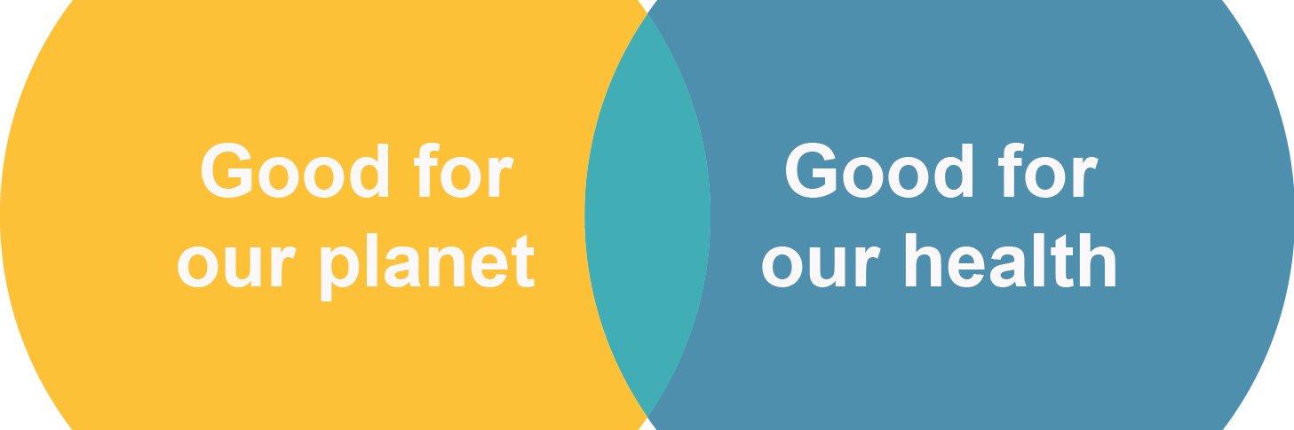 Green & Healthy Frome banner