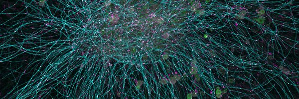 LAppeltshauser Profile Banner