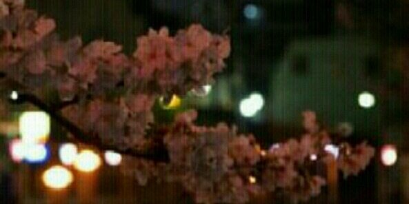Zzooh11223's profile banner image