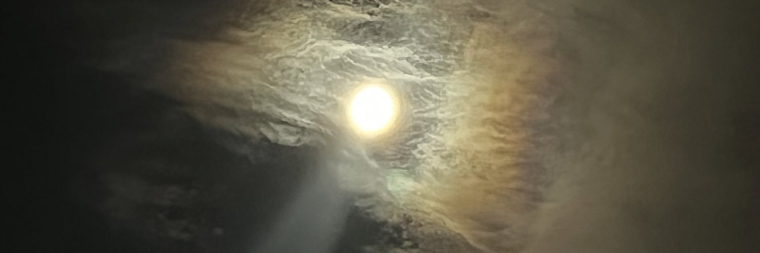 mite陈阳 banner