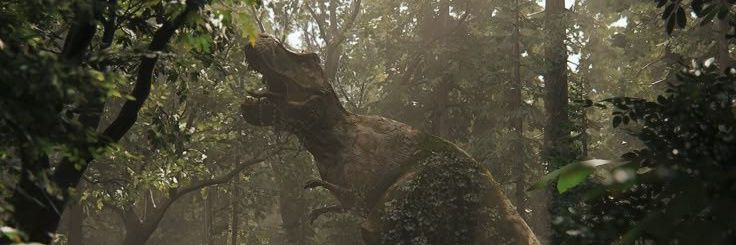 akark_h's profile banner image