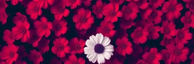 maam_111's profile banner image